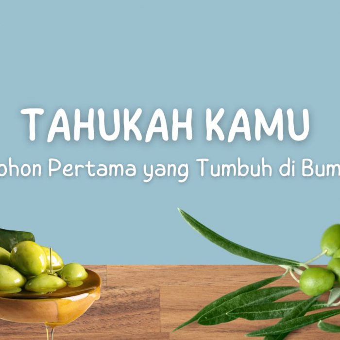 Tahukah Kamu Pohon Pertama yang Tumbuh di Bumi?