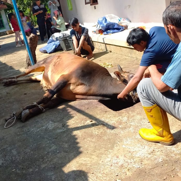 Kegiatan HOTSDa Ciamis